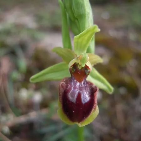 Penzion Fillide Amandola