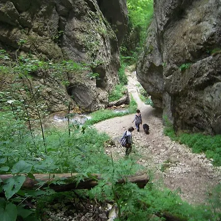 Fillide